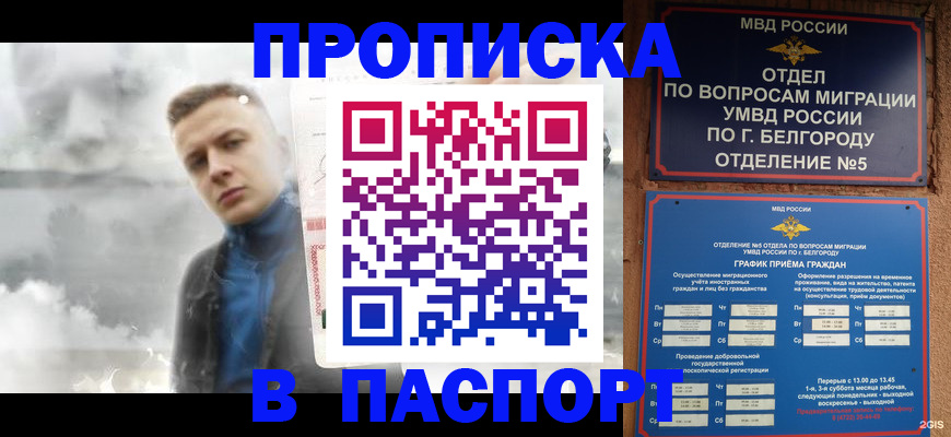 временная регистрация в Барыше